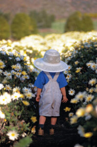 Plant a Garden Party Image